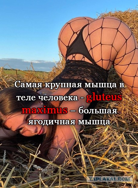 Картинки с надписями и всякие жизненные фразы