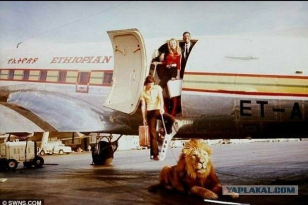«Вечный Дуглас», 85 лет со дня полета DC-3 Douglas