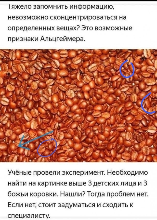 Бредзона 10.02.21