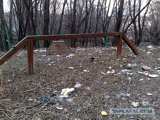 Как убирать собачьи какашки
