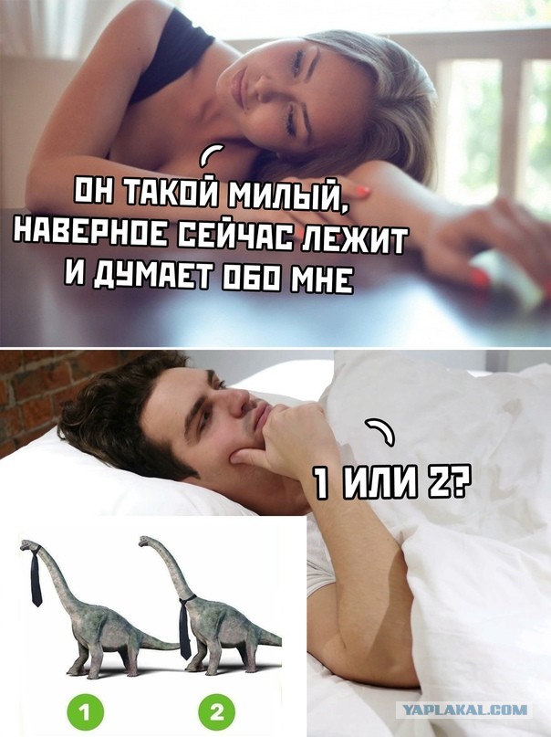 Весёлый полтишок 28.02