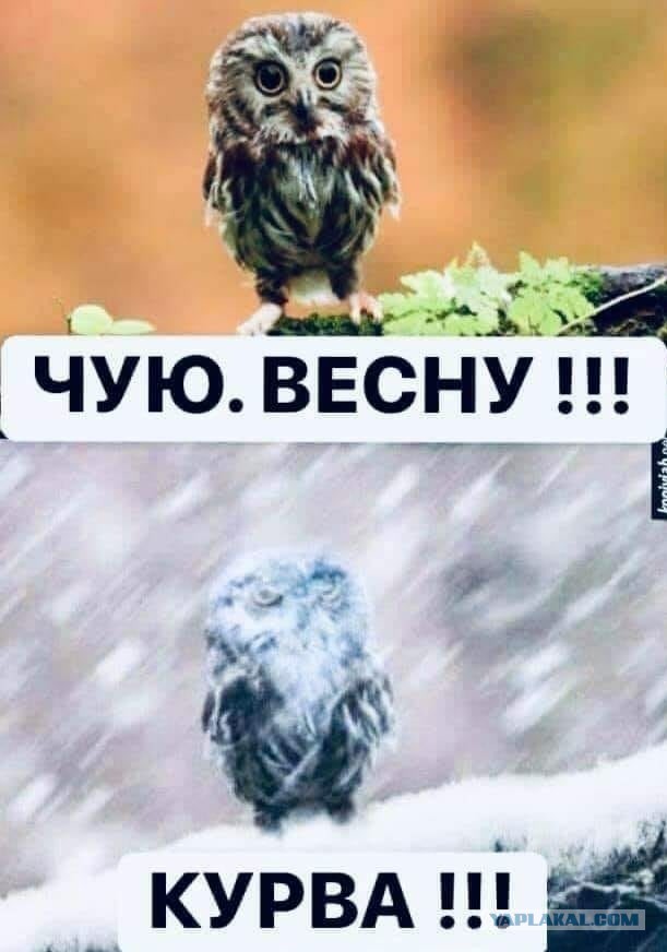 Картинки с надписями и всякие жизненные фразы 17.03.21
