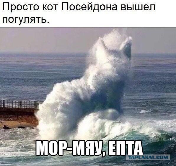 Так себе картинки 01.10.21