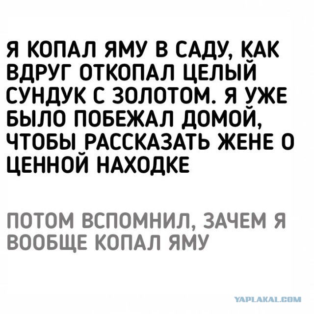 Пост деградации. Мой любимый пост. Категории Б