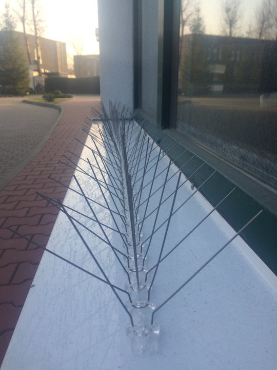 Голуби СТОП!