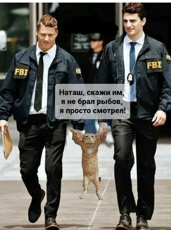 Так себе картинки 17.11.21