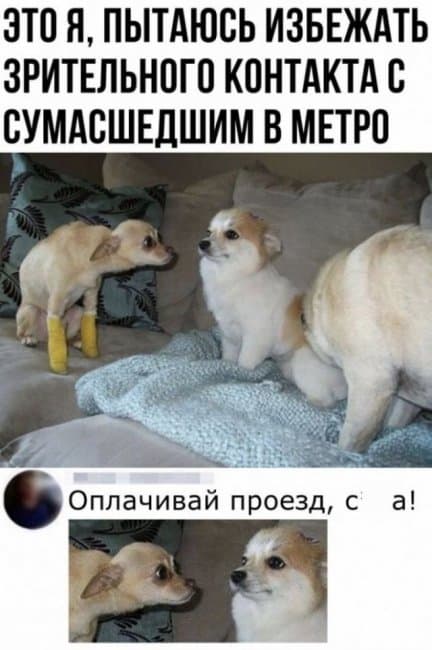 Баянисто-небаянистый юмор 30.11.21