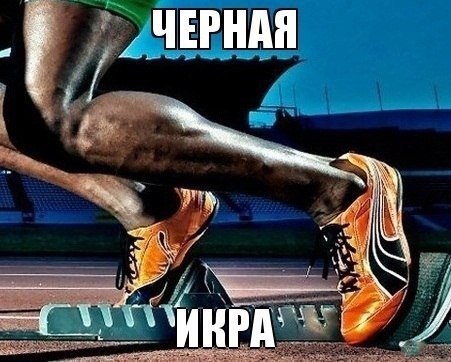 "Светлого" сочельника вам, дорогие деграданты