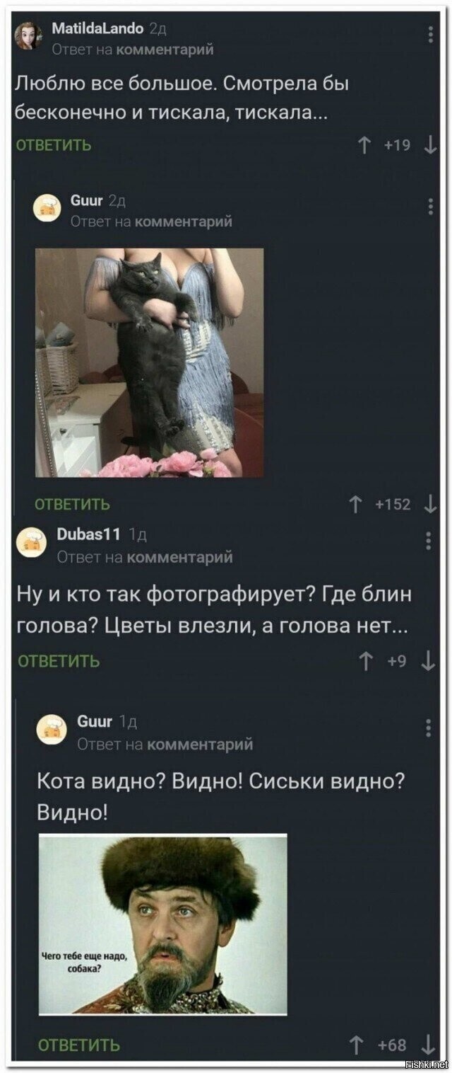 Всяческие картинки 12.01.2022