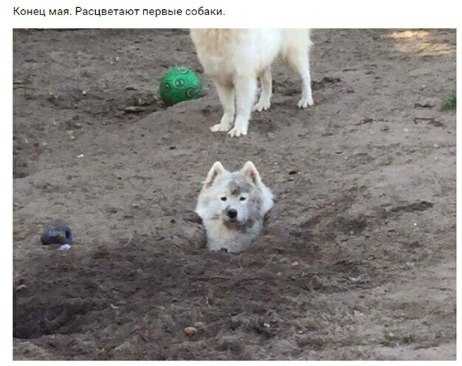 В пятницу чуть-чуть, уж точно можно деграднуть!