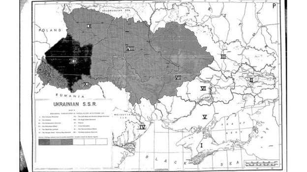 Пандемия съехавших крыш - разновидности болезни. Россия и мир. Часть 37