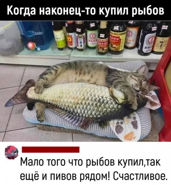 Прикольные и просто красивые картинки 22.06.2022