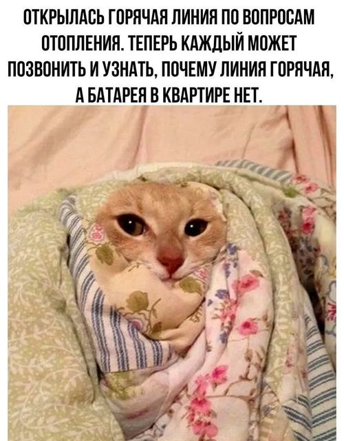 Картинки и мемы, всем хороших выходных