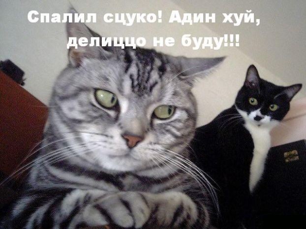 На страже здоровья