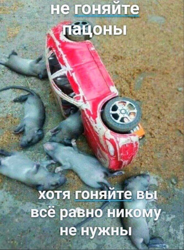 Подростки угнали машину новочеркасского офицера и разбились. Двое пассажиров в больнице, ещё один — скончался