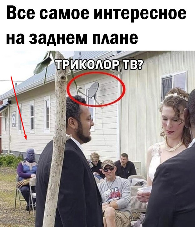 Так себе картинки 08.05.23