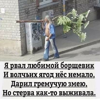 Вторая подборка самых баянистых баянов! Ностальгируем...