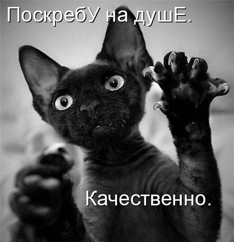 Ну погоди, Наташа, доберусь я до тебя!