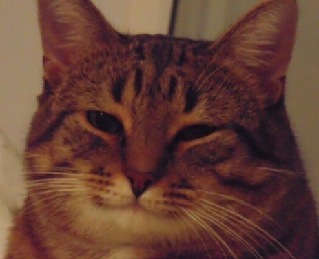 Так вот зачем они уже в семь утра в автобусах⁠⁠