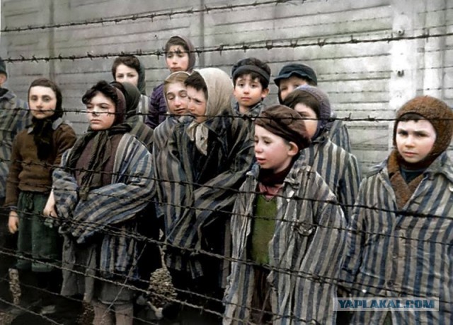 1945 год в 84 фотографиях