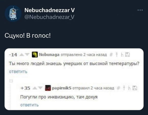 19220578.jpg