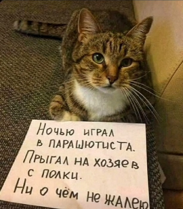 Картинки разные с надписями и без