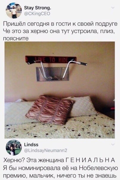 Так себе картинки 22.10.24