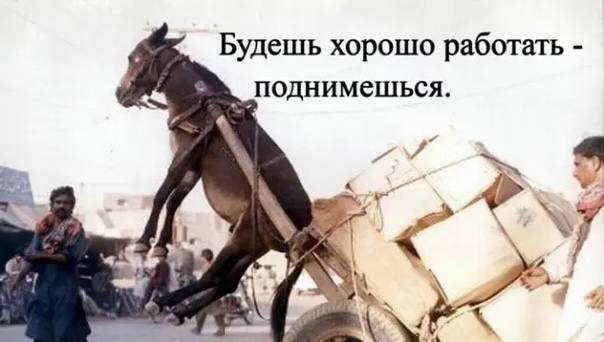 Всего понемногу. От 08.01.2025