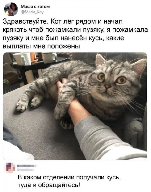 Завалялось тут случайно немного забавных картинок