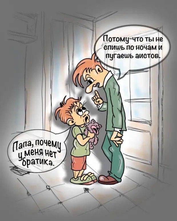 Так себе картинки 29.06.25