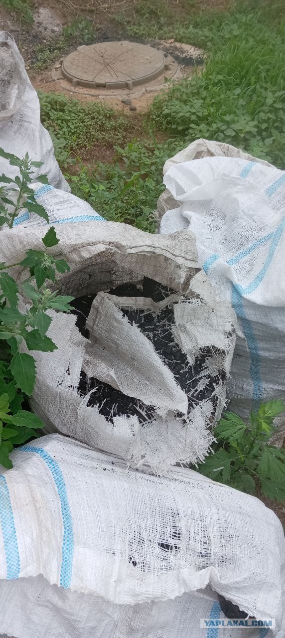 Главное в розетку не пробовал