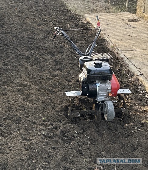 Норм удаленка