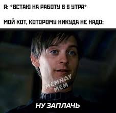 Среда пришла