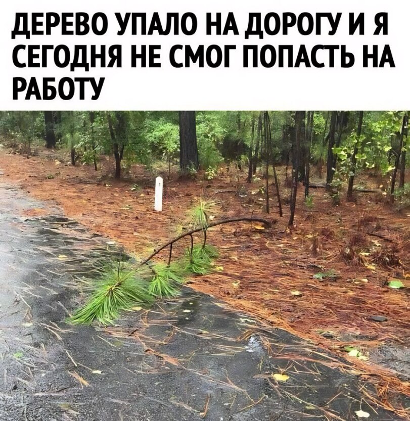 20588578.jpg