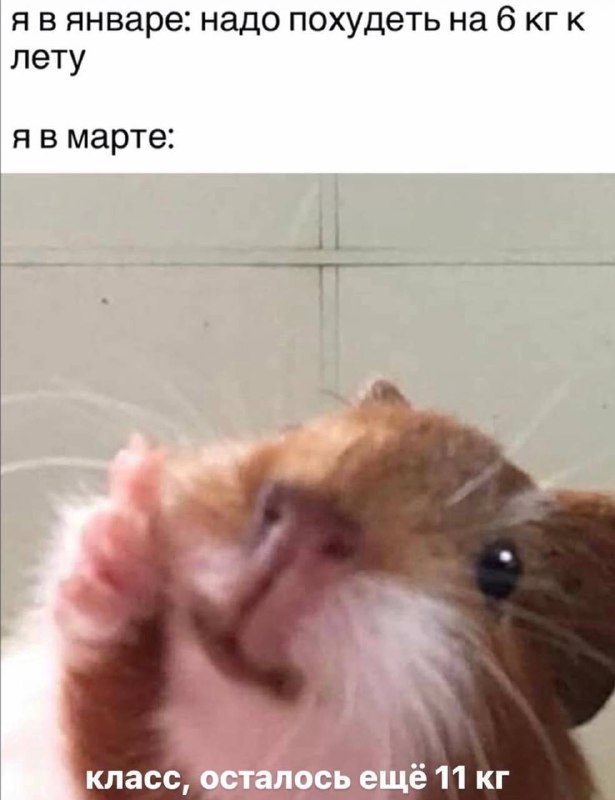 Субботние картинки