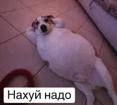 Она ещё и виновата оказалась