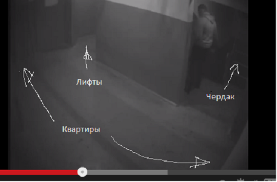 Опознайте это животное