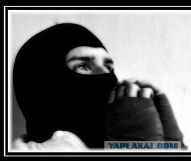 МВД объявило о росте числа