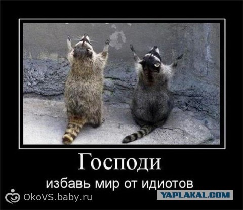 Жена ушла к зеку.