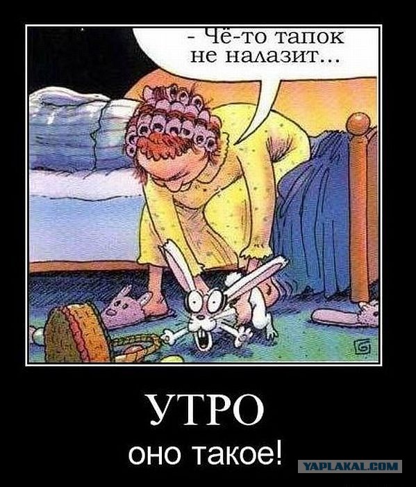 Новые "комментарии из соцсетей"