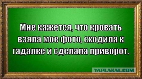 Смешные комментарии из социальных сетей 19.11.14