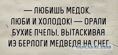 Картинки
