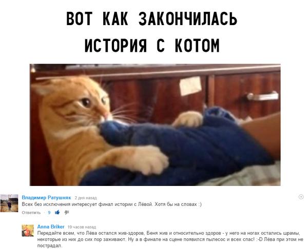 Мстительный кот