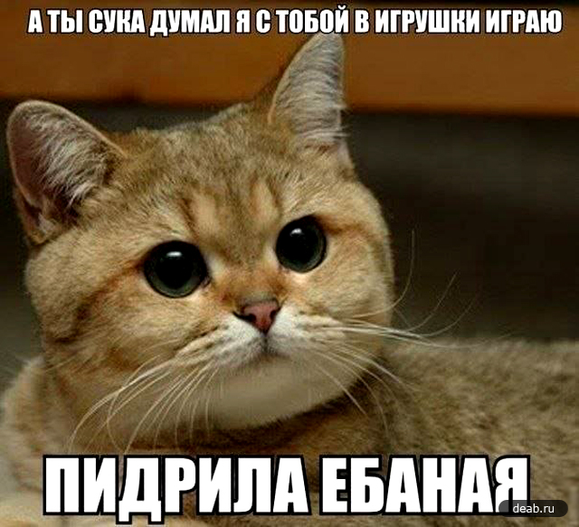 Широковещательная повестка ВСЕМ, Бровары, Украина