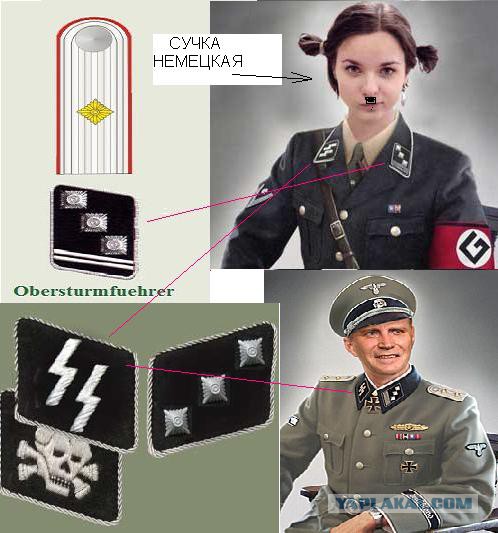 Чайный гриб