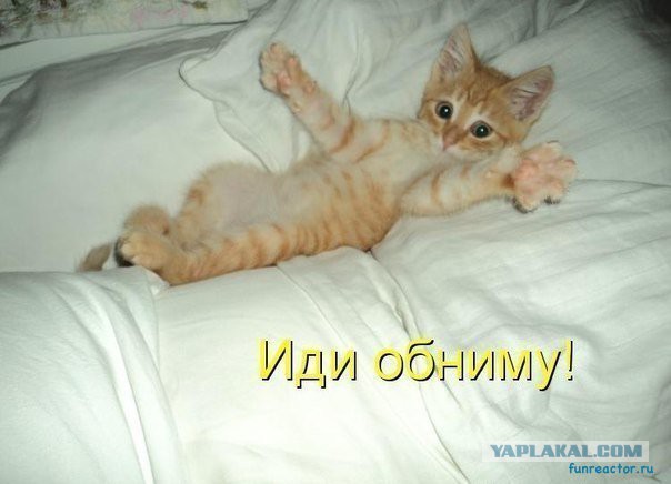 Отчаяние