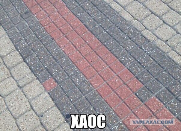 Забавные картинки из сети