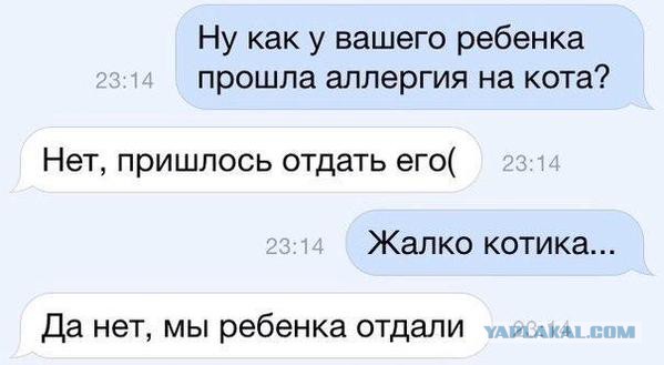 Смешные комментарии из социальных сетей