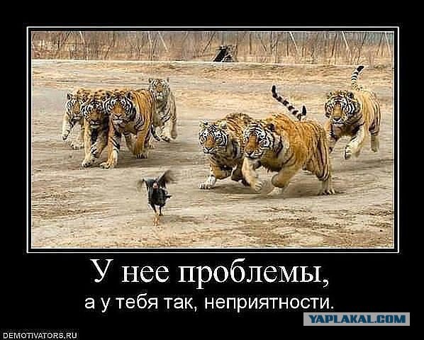Картинки разные