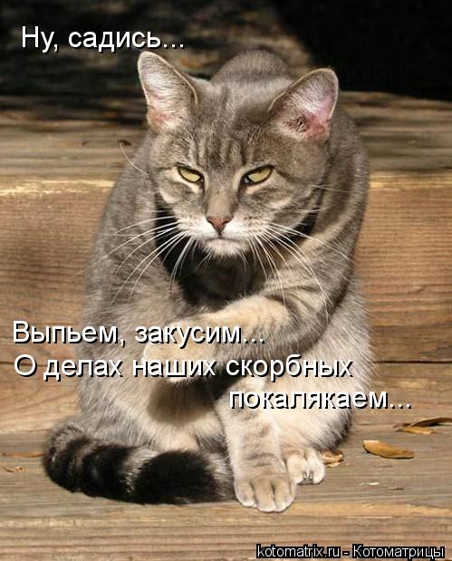 "Фокс не убивал Ларису..."